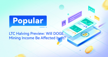پیش نمایش هاوینگ لایتکوین و تاثیر آن بر استخراج دوج کوین | ایران ماین