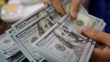اولین واکنش نرخ دلار و سکه به خبر انتصاب علی طیبنیا/ بازار ارز وارد فاز جدید شد | ایران ماین