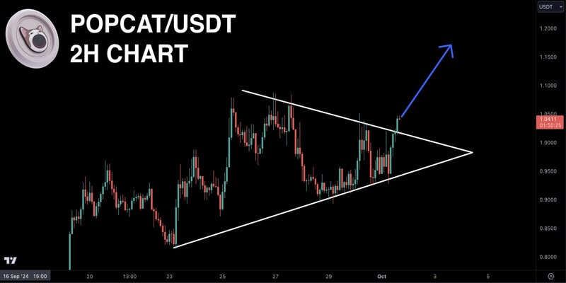 popcat-price-poised-for-200-growth-amid-rising-popularity-and-market-shift