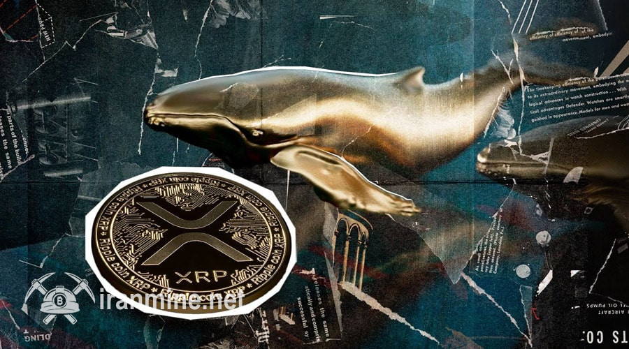پیش‌بینی افزایش XRP در پی شایعه همکاری ریپل و کاردانو؛ نهنگ‌ها به میدان برگشتند! | ایران ماین
