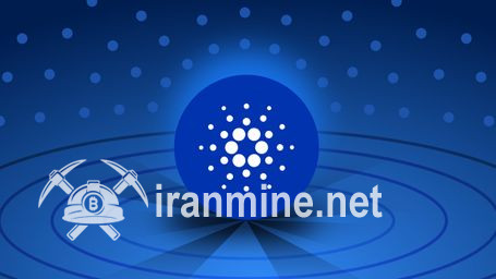 نهنگ‌های کاردانو در ۲۴ ساعت گذشته خرید زیادی انجام دادند | ایران ماین