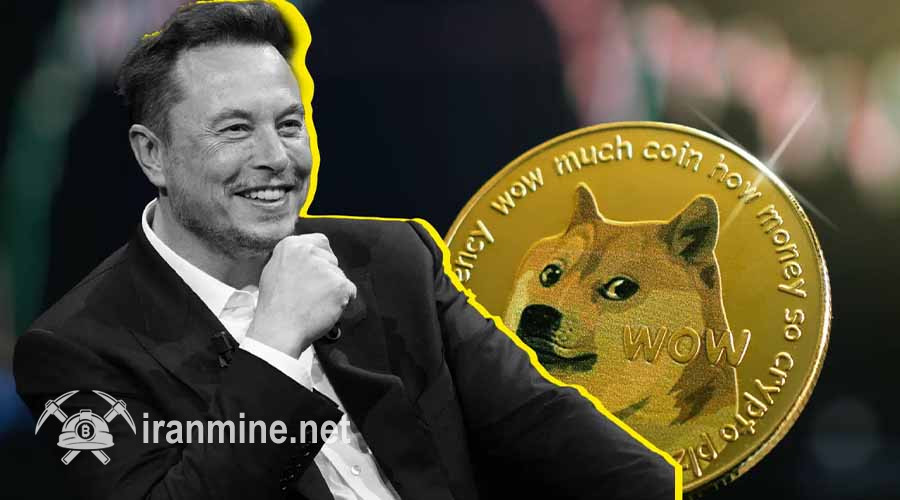 دوج کوین درگیر نوسانات سیاسی؛ آیا ایلان ماسک عامل اصلی سقوط DOGE است؟ | ایران ماین