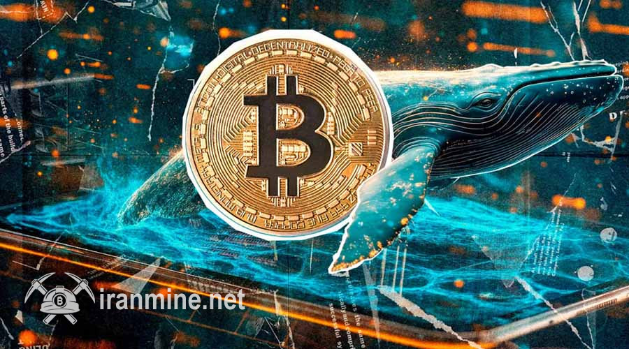 نهنگ مرموز و موقعیت فروش ۴۶۴ میلیون دلاری؛ چرا بیت کوین توسعه نمی‌کند؟ | ایران ماین