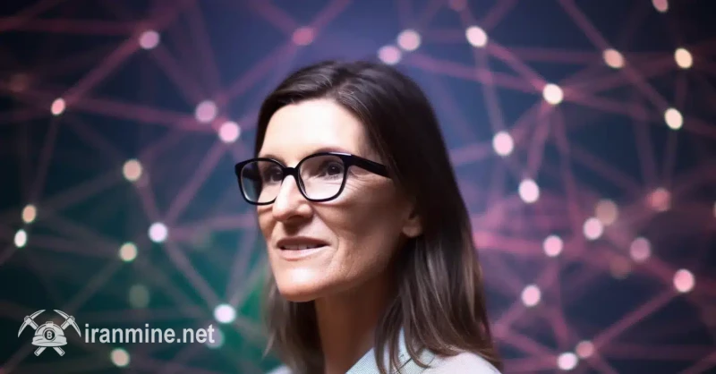 میم‌توکن‌ها در نهایت "بی‌ارزش" خواهند شد، می‌گوید مدیرعامل ARK Invest | ایران ماین