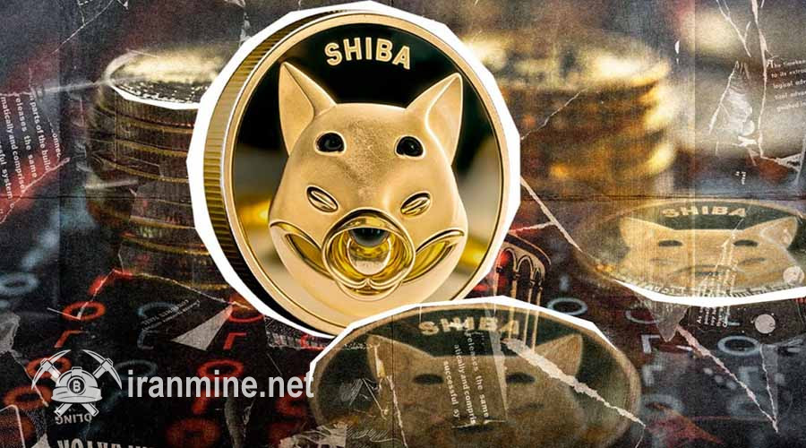 خروجی شیبا اینو (SHIB) بیشتر از ورودی؛ آیا روند صعودی در راه است؟ | ایران ماین