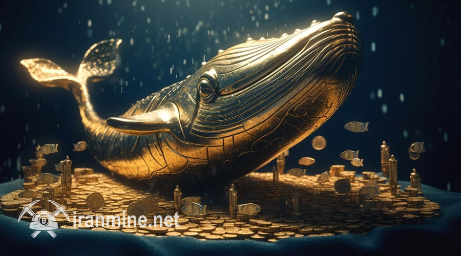 در هفته جاری نهنگ‌های کریپتو کدام رمزارزها را خریدند؟ | ایران ماین