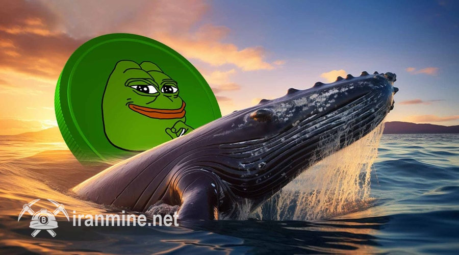 انباشت بزرگ نهنگ PEPE در بازار نوسانی؛ آماده بالا رفتن نرخ باشیم؟ | ایران ماین
