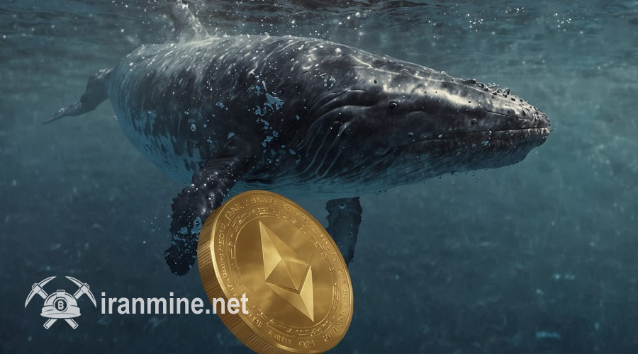 بازگشت نهنگ‌های خریدار به بازار اتریوم! نرخ ETH آماده‌ جهش دوباره است؟ | ایران ماین