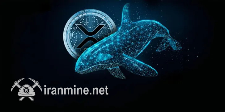 نهنگ‌های ریپل ۸۰۰ میلیون دلار نشان XRP فروختند! | ایران ماین