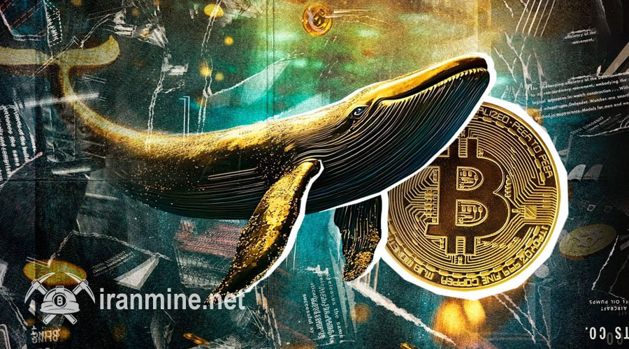 سیگنال‌های افزایش از دل اصلاح بازار؛ نهنگ‌های بیت‌کوین در حداقل نرخ می‌خرند! | ایران ماین