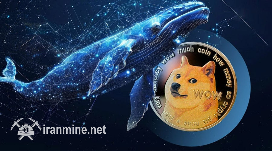 جابجایی صدها میلیون دوج‌کوین؛ نهنگ‌ها برای جهش بزرگ DOGE آماده می‌شوند! | ایران ماین