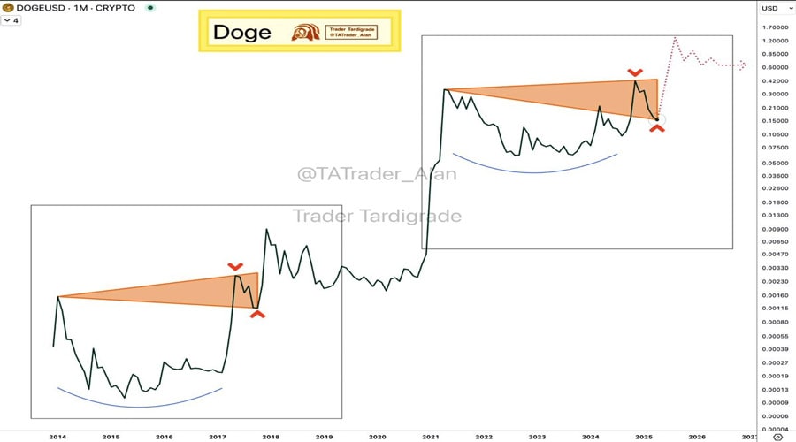 doge-whale-moves-