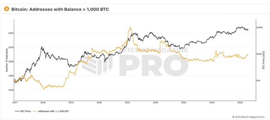 bitcoin-with-2106-whale-wallets-and-counting-btcs-big-buyers-are-back-what-now