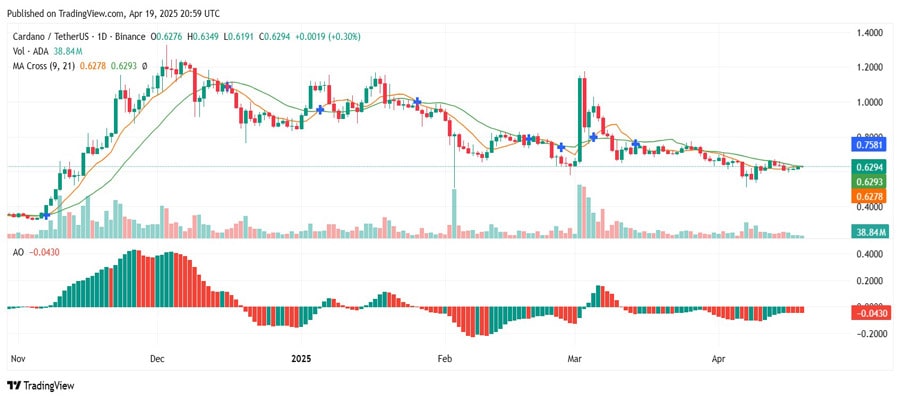 cardano-bulls-secure-most-important-signal-to-drive-price-rally