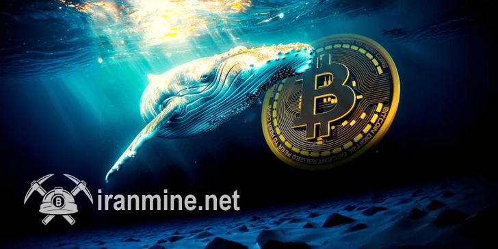 رشد قابل توجه تعداد کیف‌پول‌ نهنگ‌های بیت‌کوین در ماه آوریل | ایران ماین