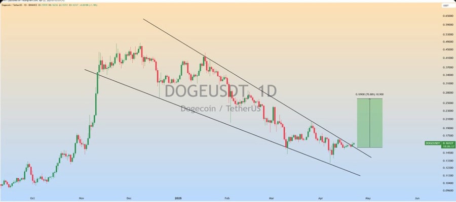 dogecoin-price-faces-risk-as-elon-musk-eyes-d-o-g-e-exit-soon