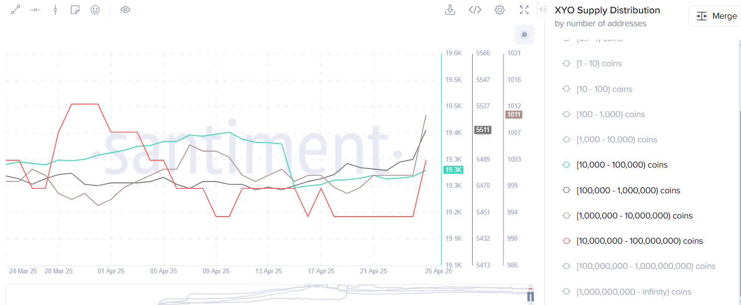 XYO امروز تا 50% افزایش یافت در آستانه لیست شدن در Bithumb و رشد اکوسیستم - 1