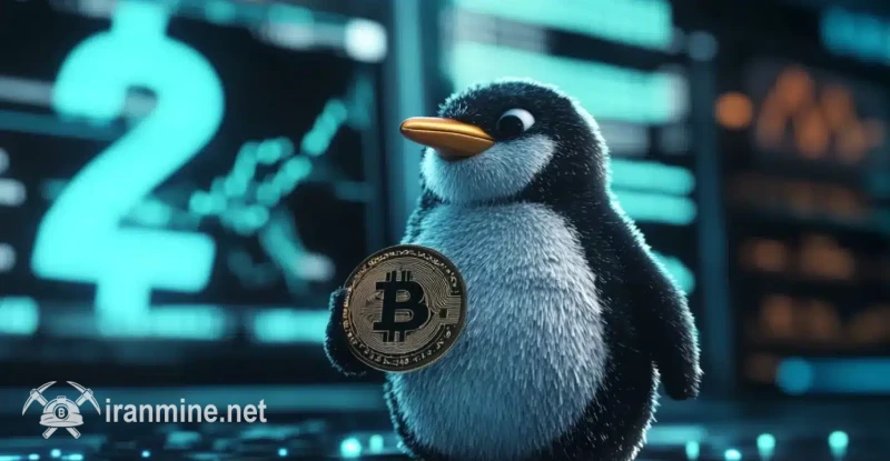 قیمت PENGU با افزایش ۴۰ درصدی شکسته شد و به ۰.۰۱۵ دلار به دنبال تأیید احتمالی ETF چشم دوخته است. | ایران ماین