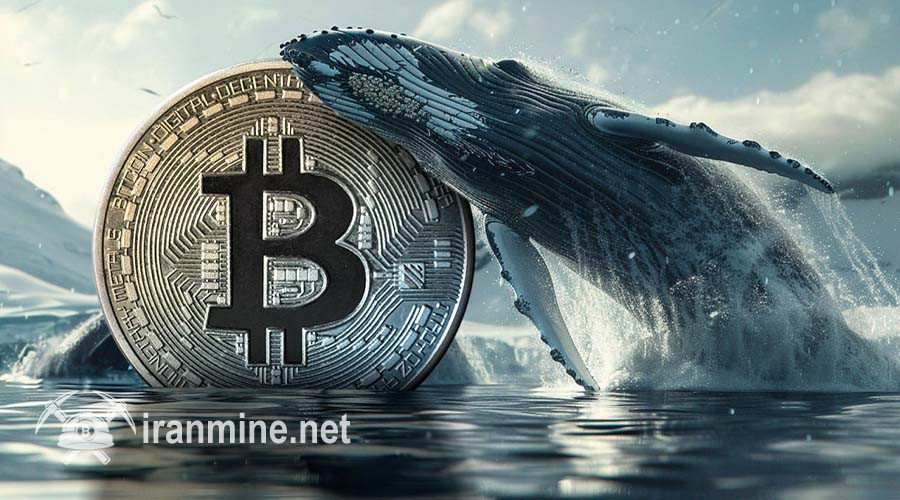بیت ‌کوین در محدوده ۹۴ هزار دلار؛ نهنگ‌ها دوباره دست به کار شده‌اند؟ | ایران ماین