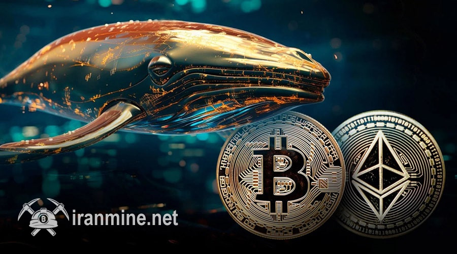 انباشت ۱۱۰ میلیون دلار بیت‌کوین و اتریوم؛ سیگنال صعودی نهنگ بزرگ برای بازار! | ایران ماین