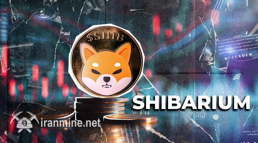 تعداد تراکنش‌های شیباریوم اوج گرفت! نرخ SHIB هم به دنبال آن افزایش می‌کند؟ | ایران ماین
