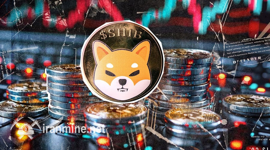 بالا رفتن مقدار خرید و فروش SHIB به بالاترین لایه ۵ ماه اخیر؛ بازگشت به مسیر افزایش؟ | ایران ماین
