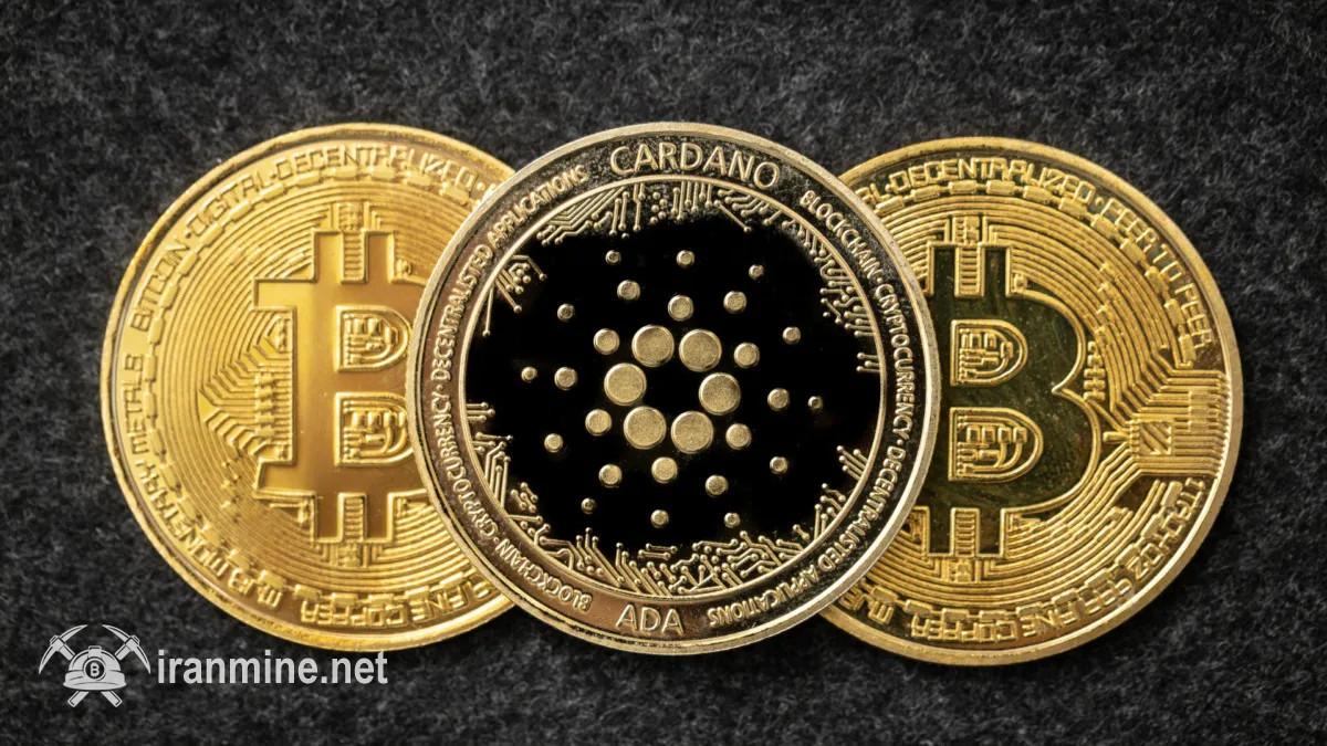پیش‌بینی جنجالی یک بررسی‌کننده: بیت کوین به ۲۵۰ هزار دلار می‌رسد و کاردانو صفر می‌شود! | ایران ماین