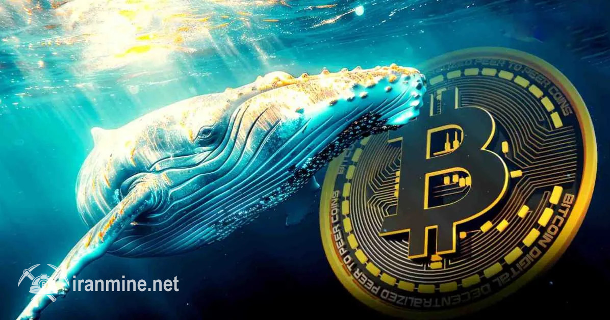 یک نهنگ بیت کوین پس از ۷ سال دارایی خود را به اتریوم تبدیل کرد | ایران ماین