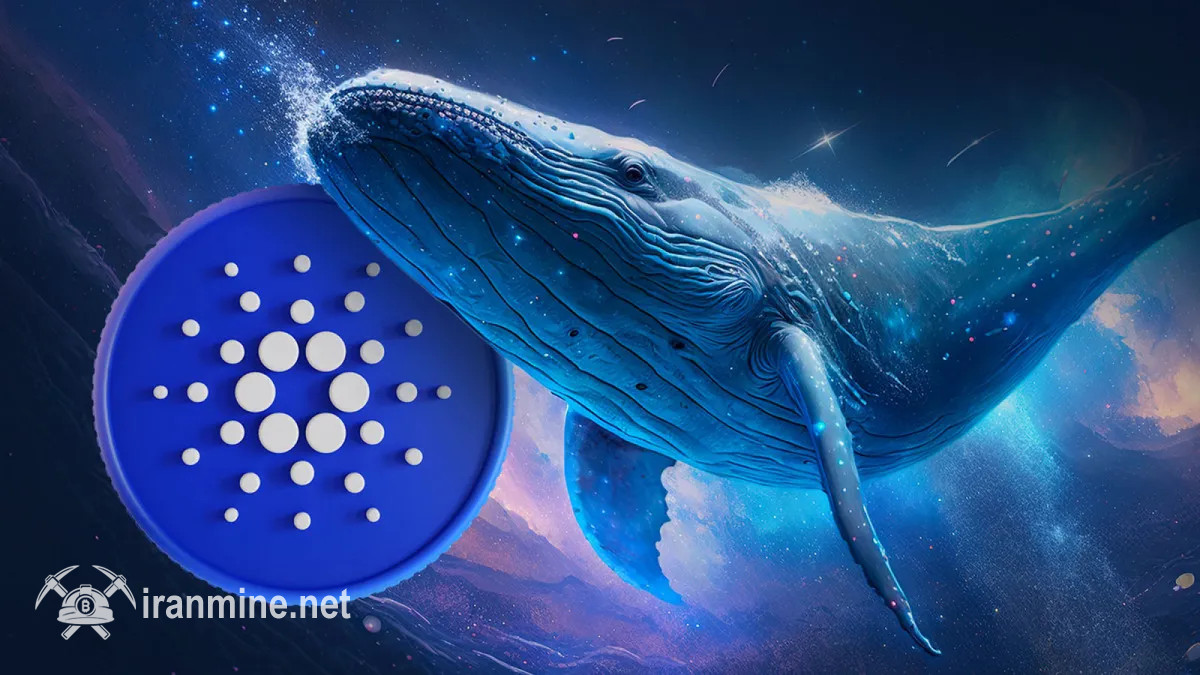 نرخ ADA در پی بالا رفتن تحرکات نهنگ‌های کاردانو ۱۵ درصد توسعه کرد | ایران ماین