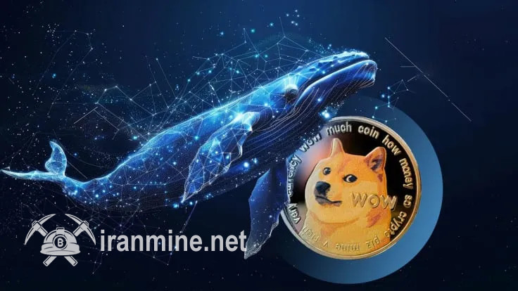 انباشت دوج کوین توسط نهنگ‌ها در جریان اصلاح بازار | ایران ماین