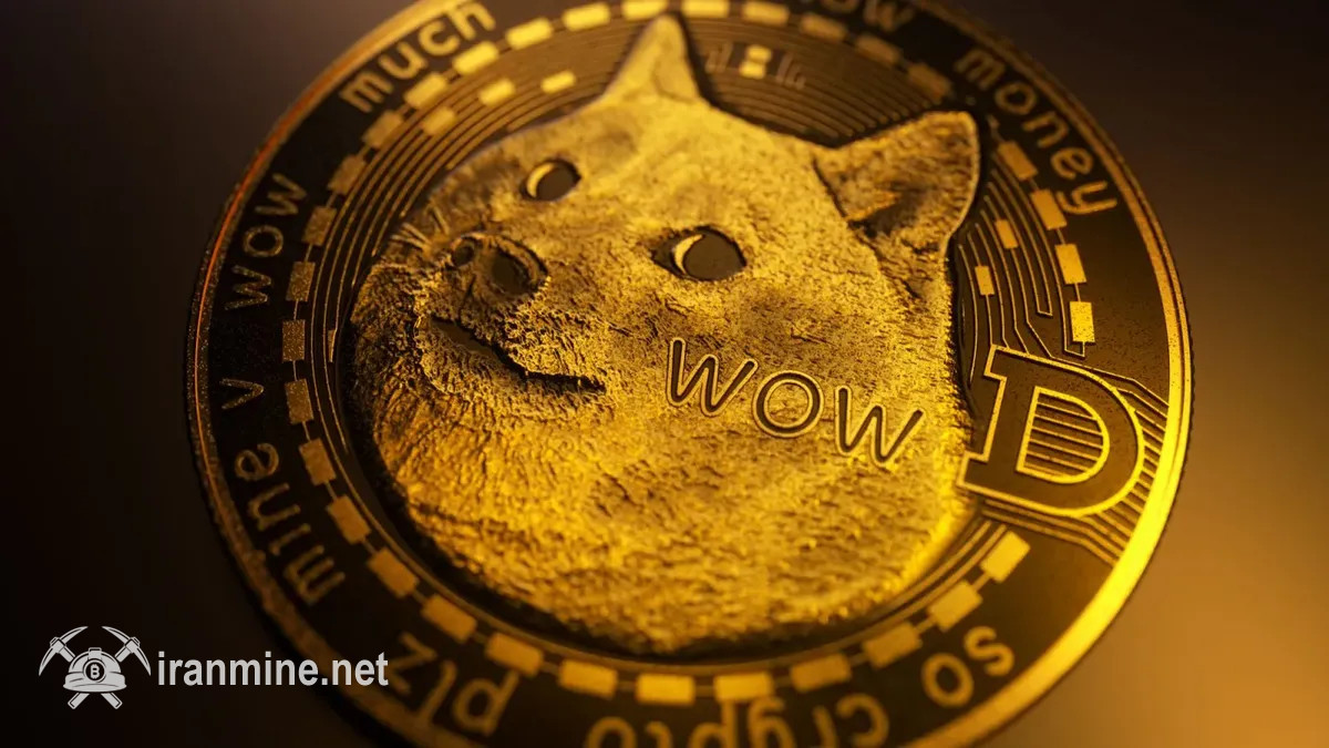 یک نهنگ‌ دوج کوین ۹۰۰ میلیون نشان را به صرافی بایننس منتقل کرد | ایران ماین