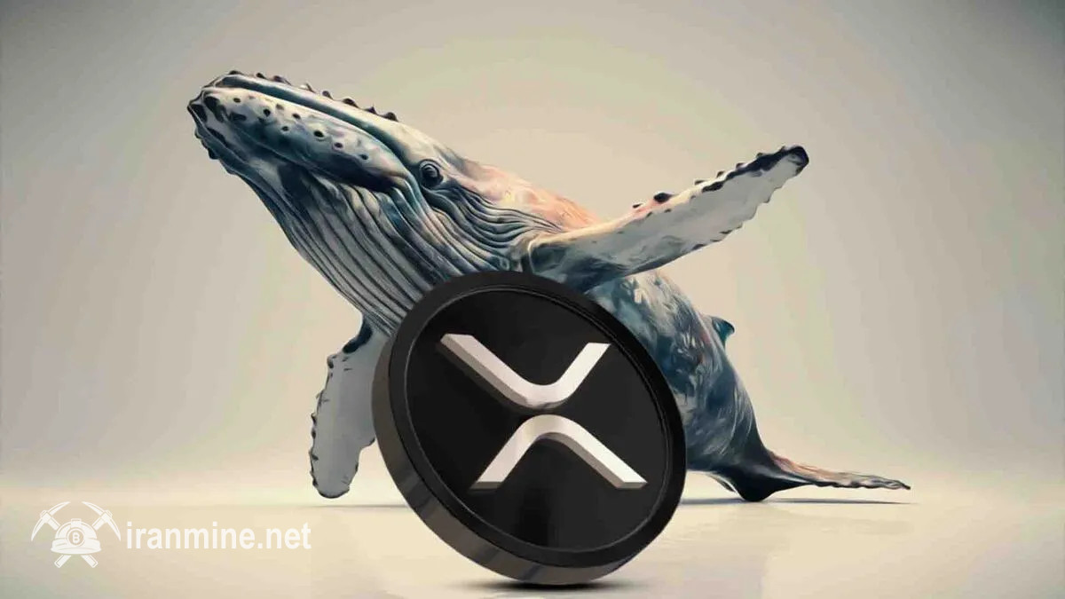 نهنگ‌های XRP در حال خروج از بازار هستند | ایران ماین