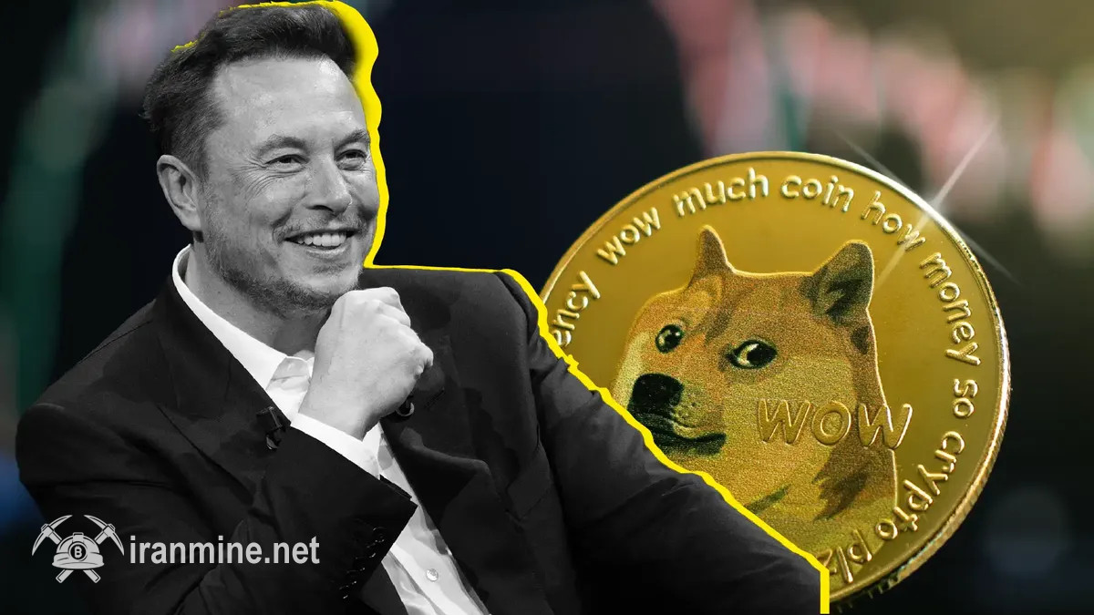 وکیل ایلان ماسک رئیس خزانه ۲۰۰ میلیون دلاری دوج‌ کوین خواهد شد! | ایران ماین