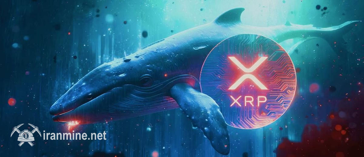 نهنگ‌های ریپل با خرید ۳۴۰ میلیون نشان XRP دوباره به بازار برگشتند | ایران ماین