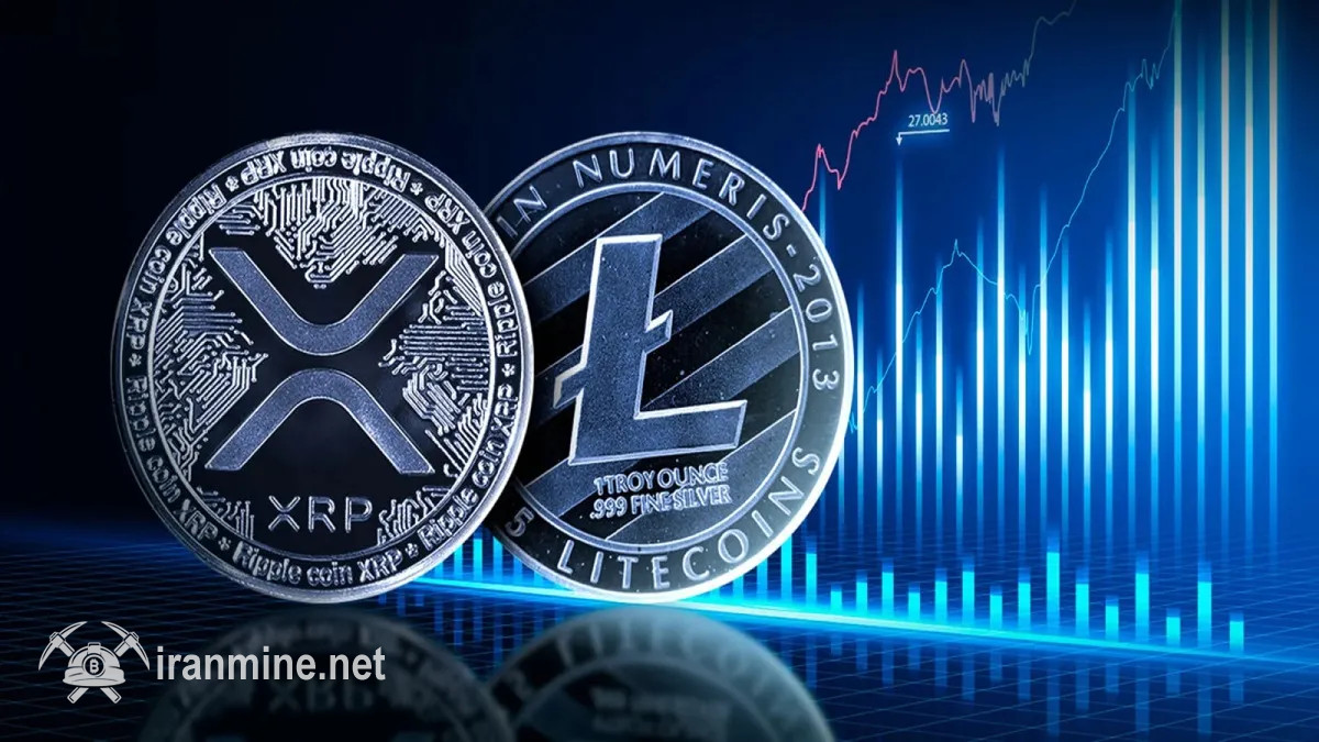 مدیرفنی ریپل به نقدها طرفداران لایت کوین پاسخ داد | ایران ماین