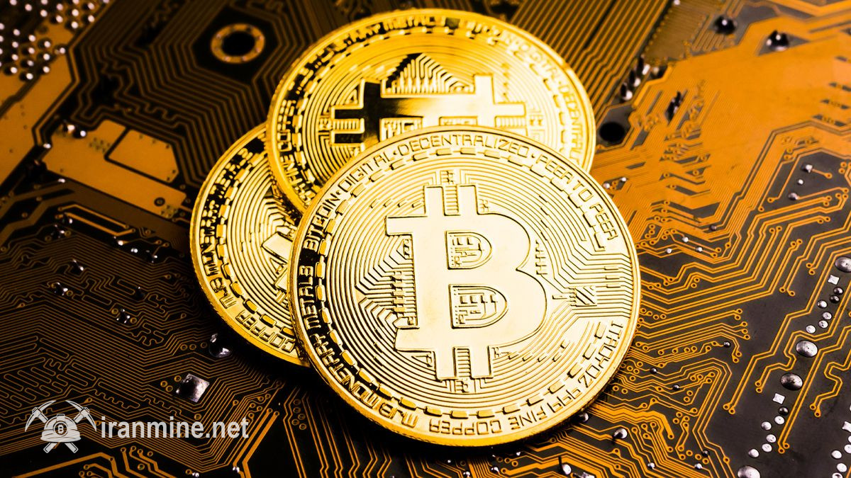 کمپانی‌های عمومی بیش از یک میلیون بیت کوین ذخیره کرده‌اند | ایران ماین
