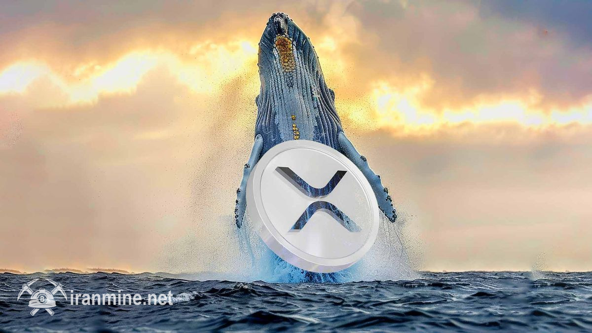 حجم انباشت نهنگ‌های XRP به بالاترین لایه ۲ ساله رسید | ایران ماین