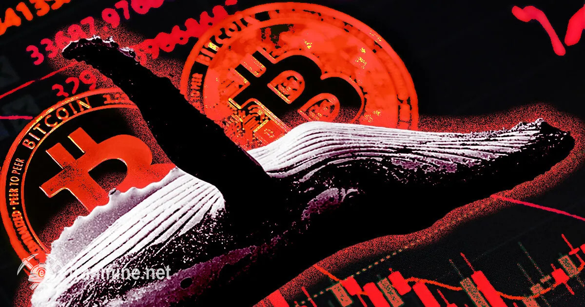 یک نهنگ ناشناس رکورد بزرگترین بازنده پلتفرم هایپرلیکویید را شکست! | ایران ماین