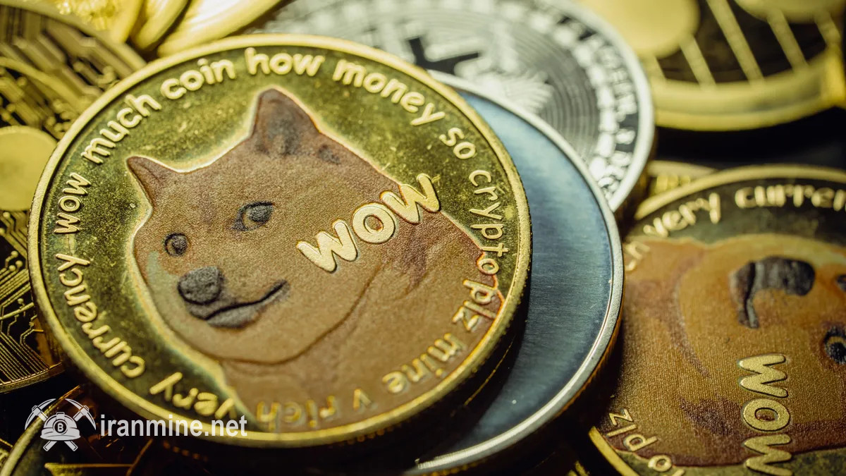 کمپانی کلین کور مرتبط با وکیل ایلان ماسک ۵۰۰ میلیون دوج کوین خریداری کرد | ایران ماین