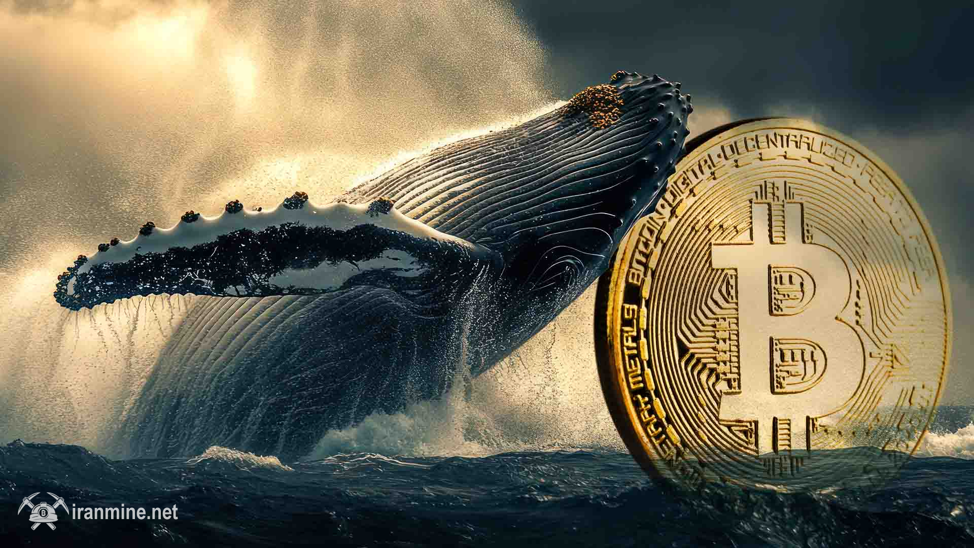 فروش مجدد بیت‌ کوین توسط نهنگ‌های قدیمی | ایران ماین