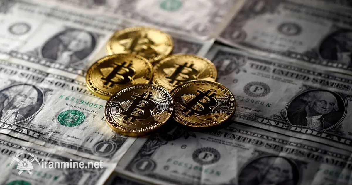 تعداد میلیونرهای رمز ارز در جهان به ۲۴۱,۷۰۰ نفر رسید | ایران ماین