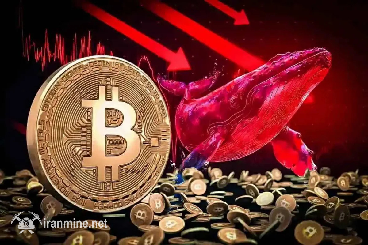 نزول شتاب انباشت بیت‌ کوین توسط نهنگ‌ها | ایران ماین