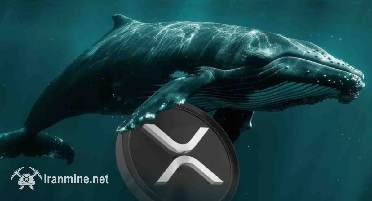 هشدار در پرونده ETF جدید ریپل؛ خطر دستکاری نهنگ‌ها بازار XRP را تهدید می‌کند | ایران ماین