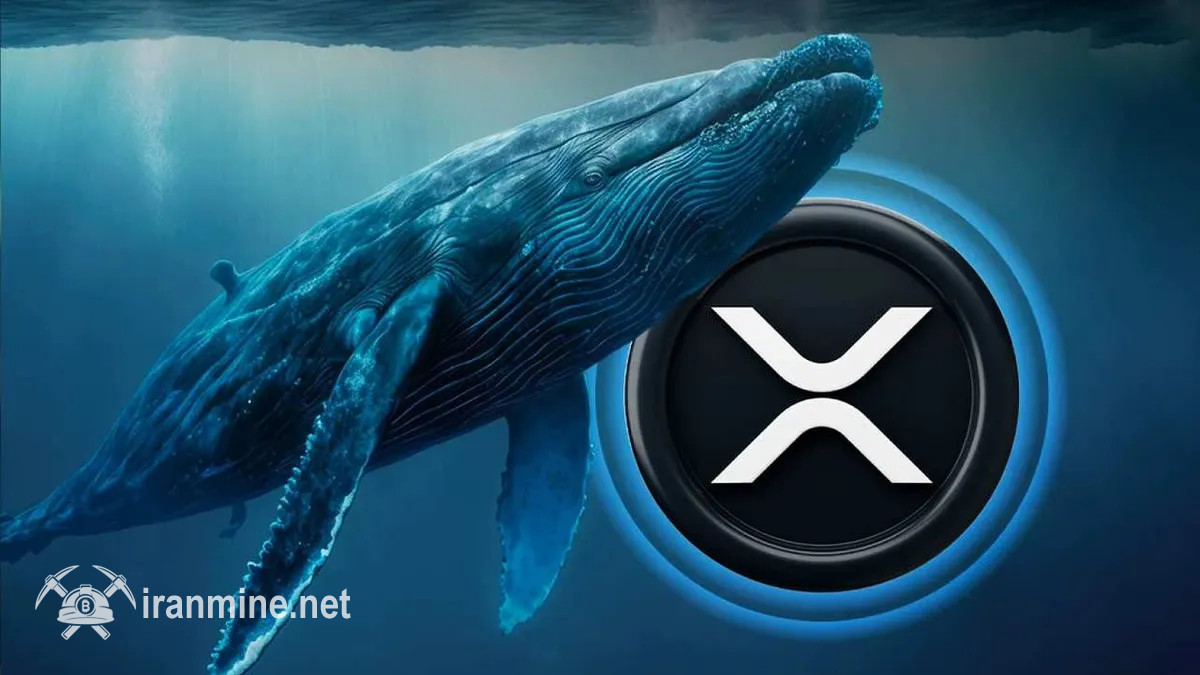 بالا رفتن شدید فعالیت نهنگ‌های ریپل و تشکیل الگوهای تکنیکالی صعودی | ایران ماین