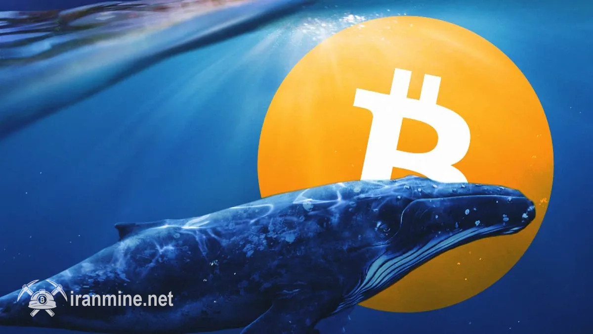 یک کیف پول قدیمی بیت کوین پس از ۱۲ سال فعال شد | ایران ماین