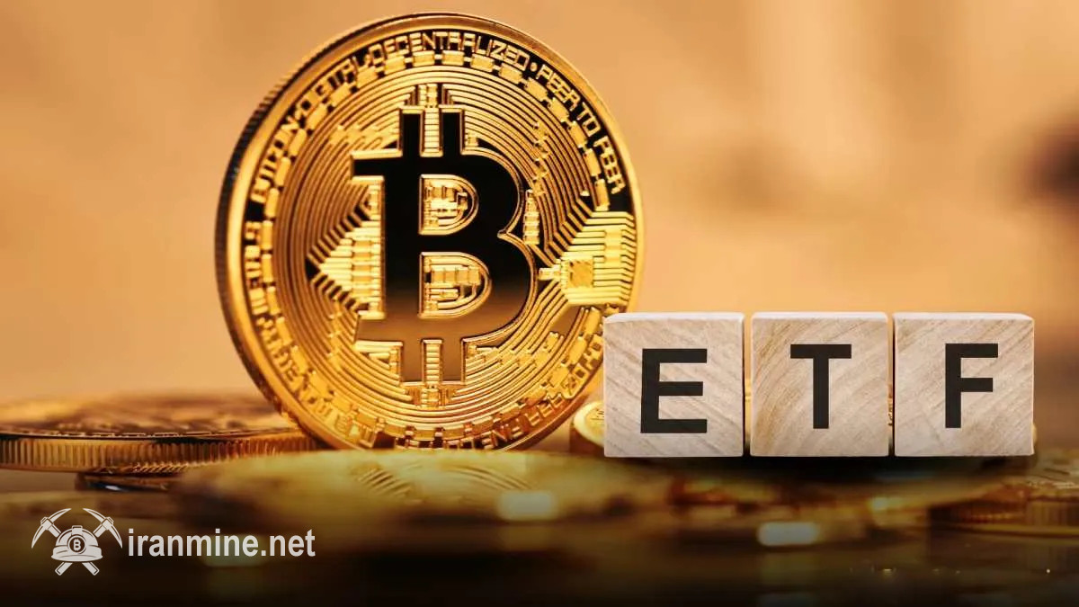 صندوق‌های ETF بیت کوین بیش از ۸۰۰ میلیون دلار سرمایه جذب کردن سرمایه کردند | ایران ماین