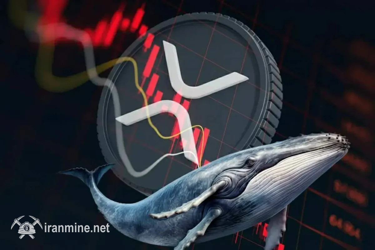نهنگ‌های ریپل روزانه ۵۰ میلیون دلار از بازار خارج می‌کنند | ایران ماین