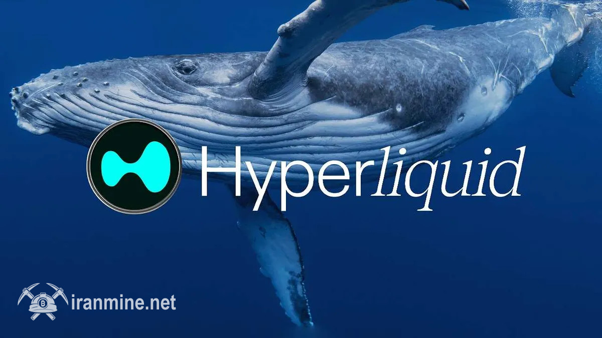 هویت نهنگ مرموز با دارایی ۱۰۰هزار بیت‌ کوین در صرافی هایپرلیکویید افشا شد | ایران ماین