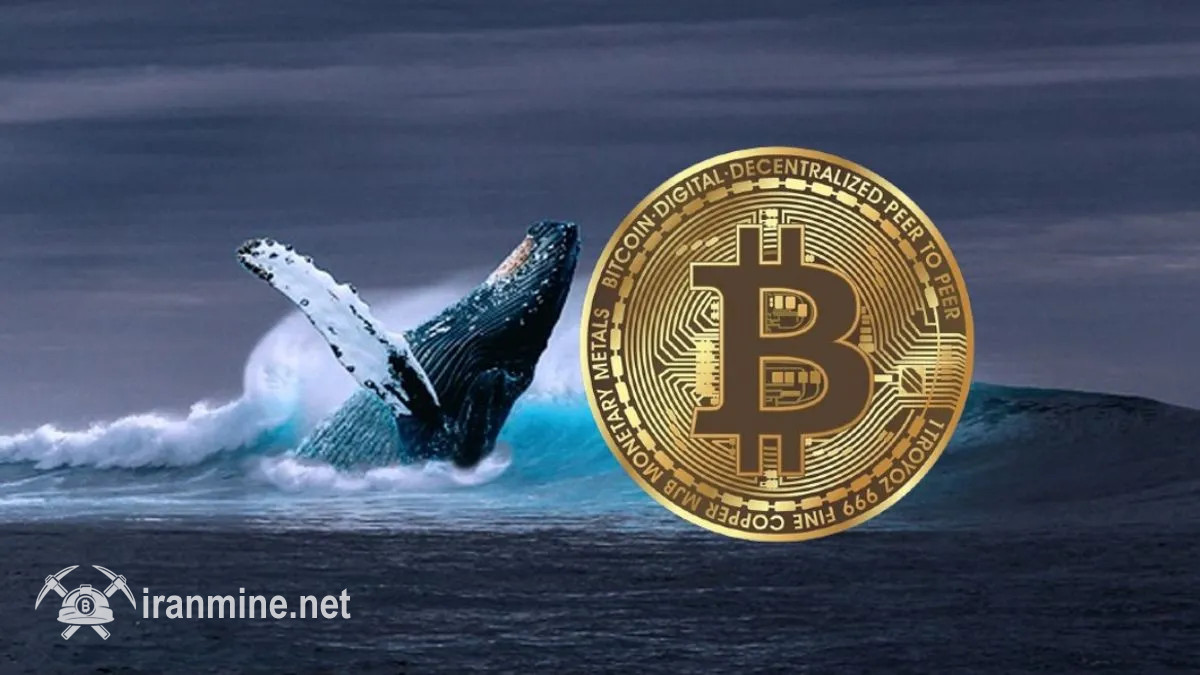 نهنگ مرموزی که از سقوط بازار ۱۹۲ میلیون دلار سود کرد، دوباره وارد موقعیت فروش شد | ایران ماین