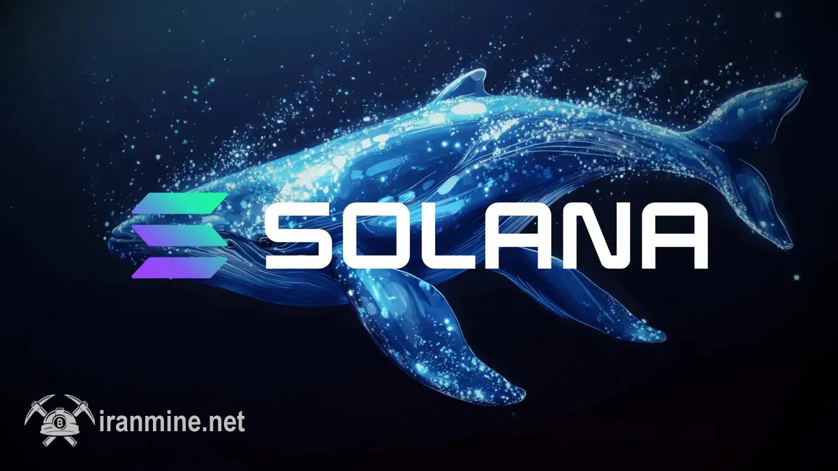 بالا رفتن خرید سولانا توسط نهنگ‌ها پس از افت اخیر | ایران ماین
